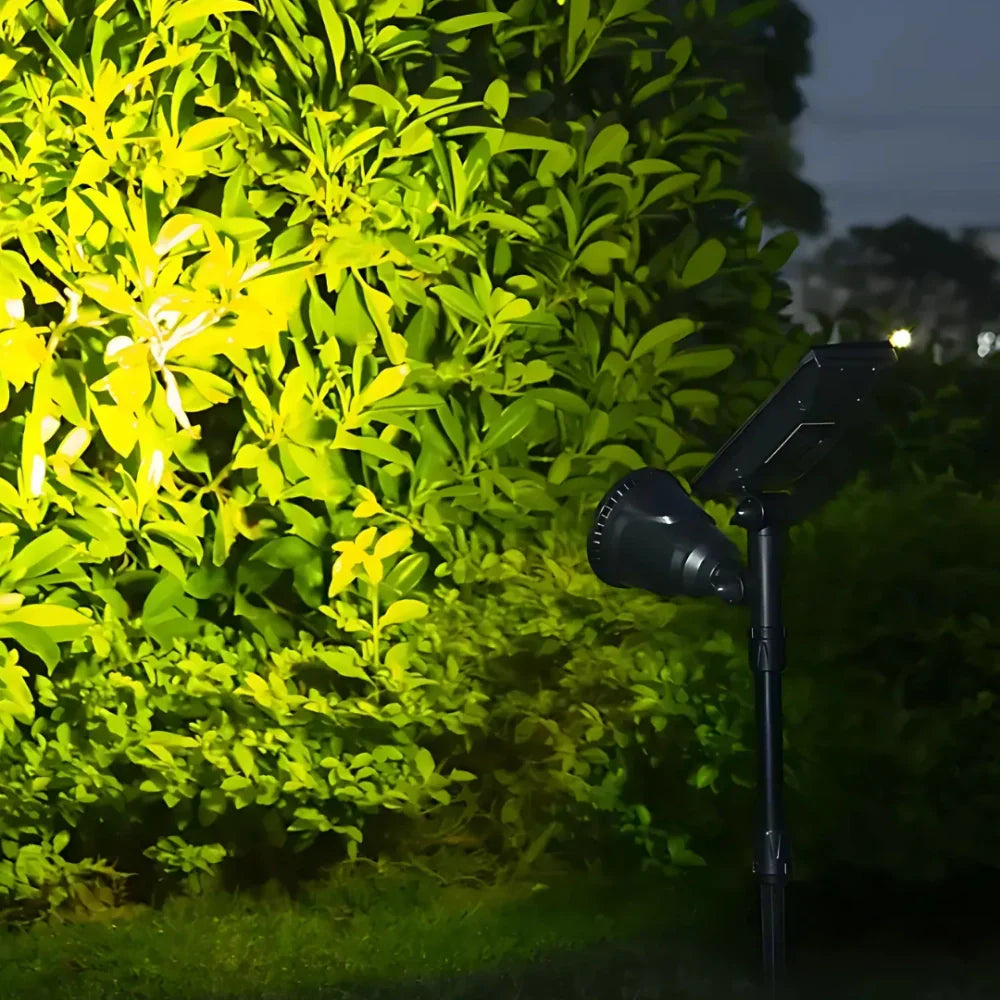 Solar Powered Landscape Spotlight